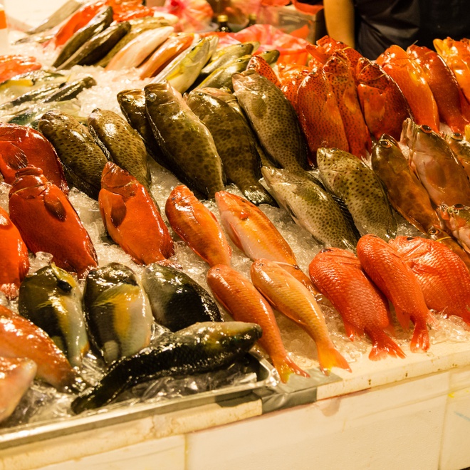 Saiba mais sobre o Mercado de peixes São Pedro